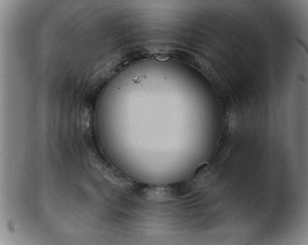 X0000103490567200809191925