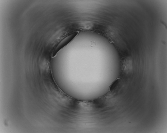 X0000103490568200809191925