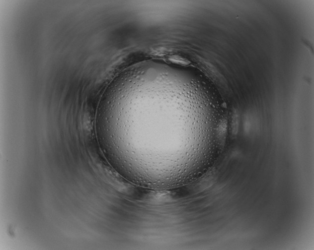 X0000103490569200809191925