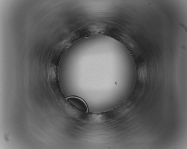 X0000103490570200809191925