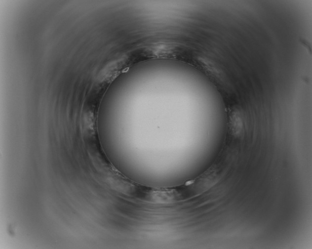 X0000103490571200809191925