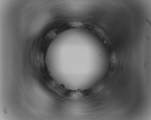 X0000103490572200809191925