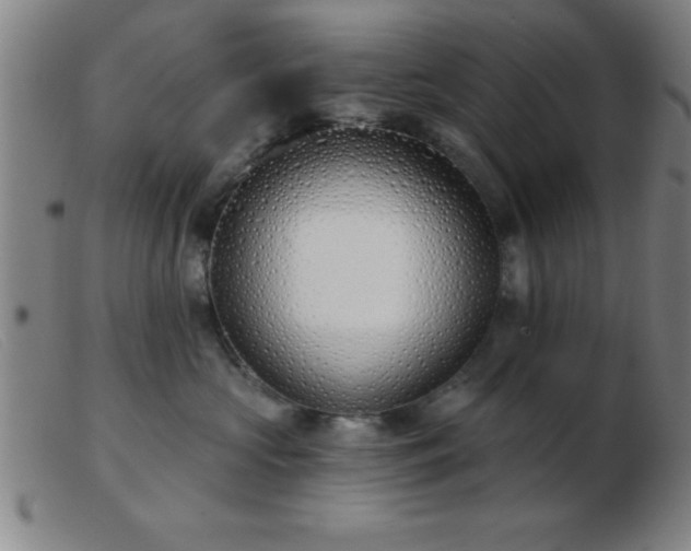 X0000103490573200809191925