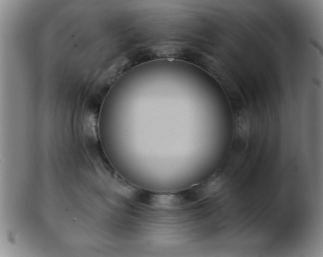 X0000103490575200809191925