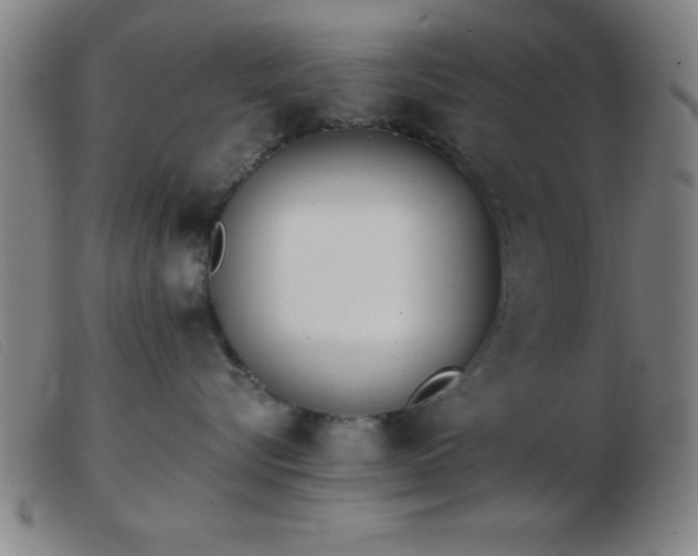 X0000103490576200809191925