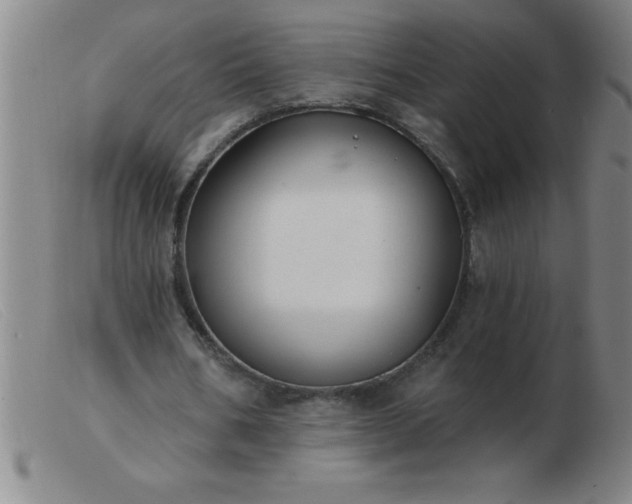 X0000103490578200809191924