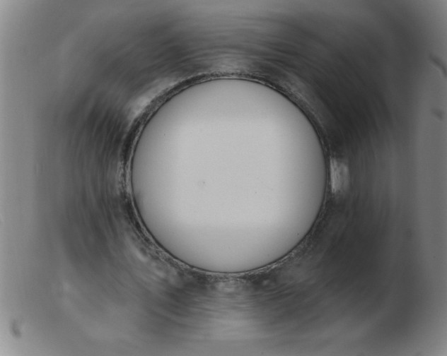 X0000103490579200809191924