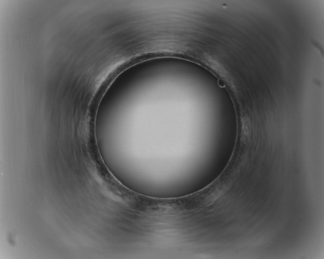 X0000103490580200809191924