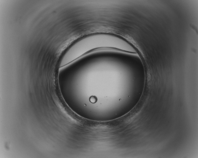 X0000103490581200809191924