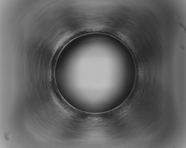 X0000103490582200809191924