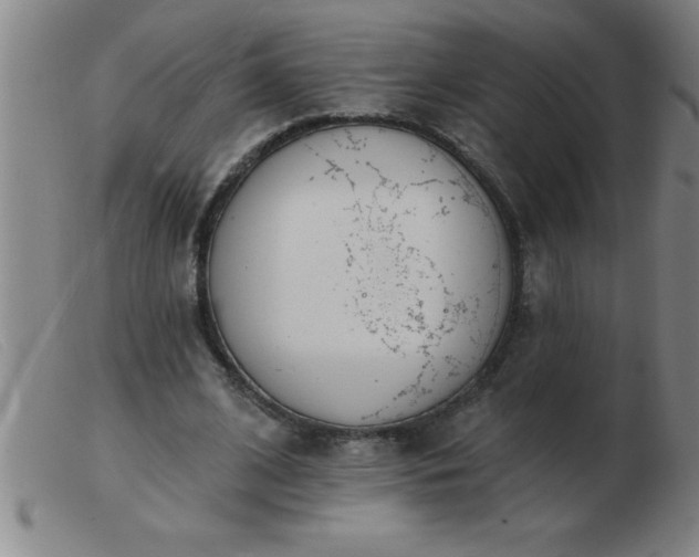 X0000103490584200809191924