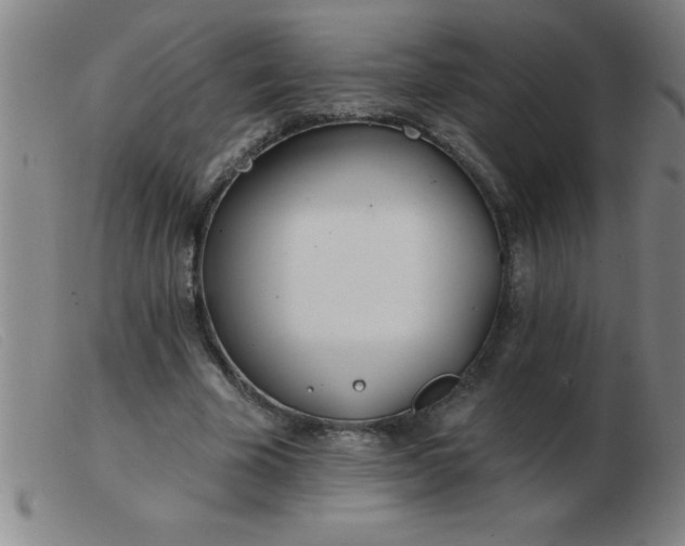 X0000103490585200809191924