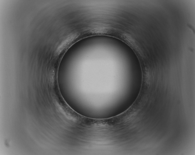 X0000103490586200809191924