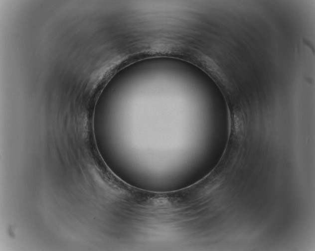 X0000103490588200809191924