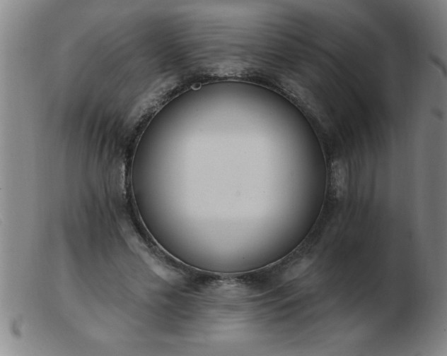 X0000103490589200809191924