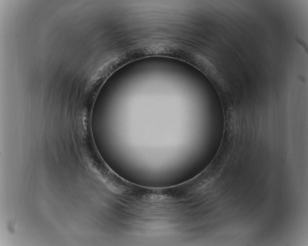 X0000103490590200809191924