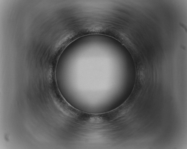 X0000103490591200809191924