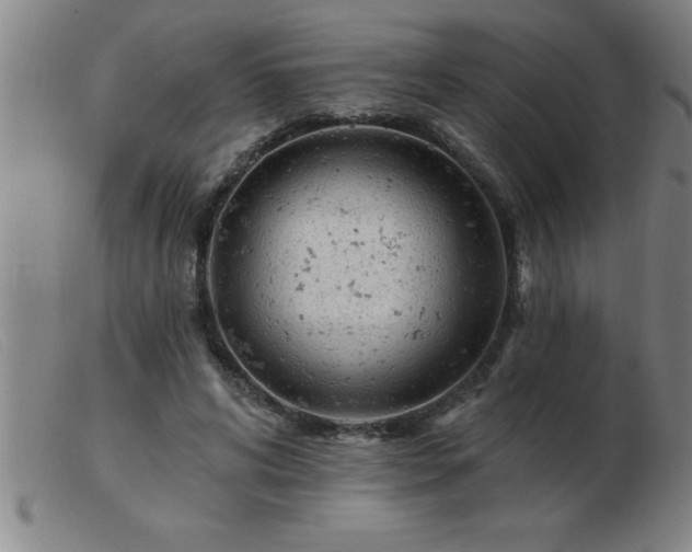 X0000103490592200809191924