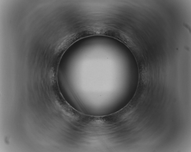 X0000103490594200809191924