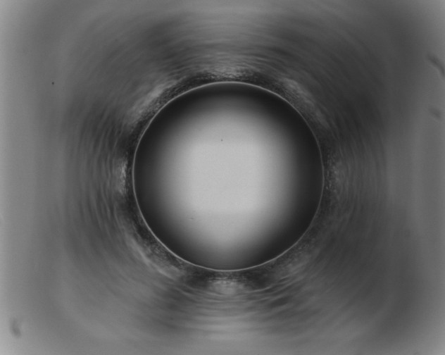 X0000103490596200809191924