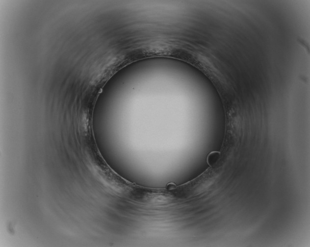 X0000103490597200809191924