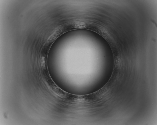 X0000103490598200809191924