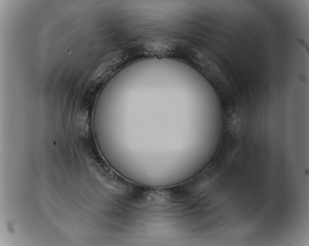 X0000103490599200809191924