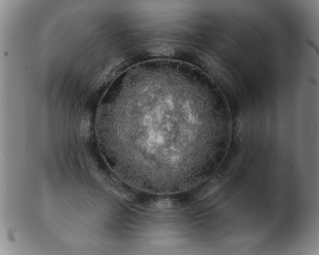 X0000103490600200809191924