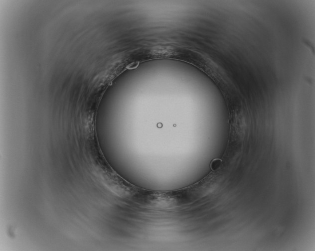 X0000103490601200809191924