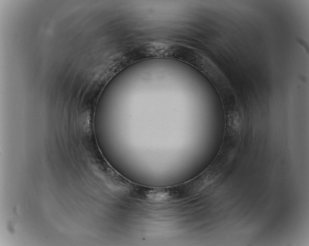 X0000103490602200809191924