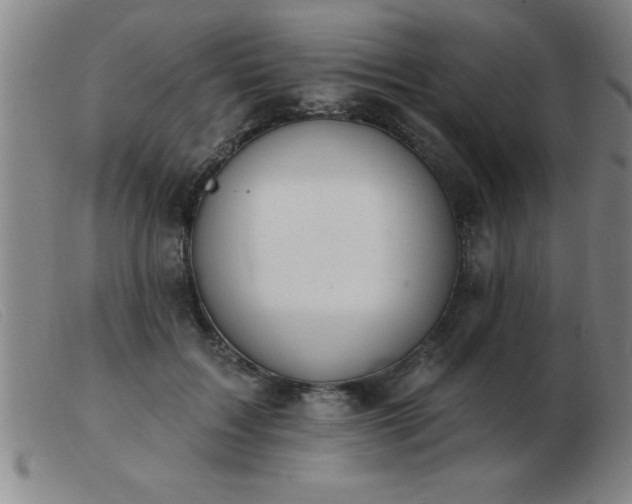 X0000103490603200809191924