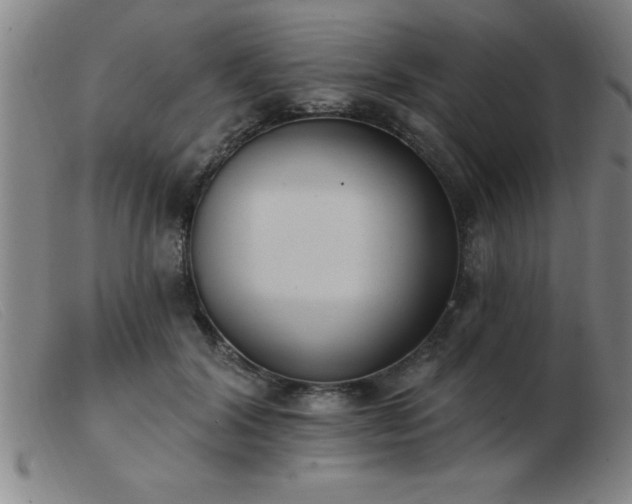 X0000103490604200809191924