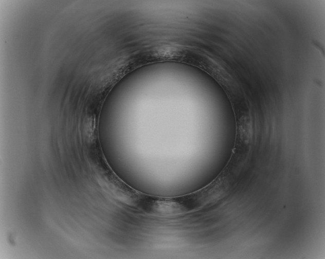 X0000103490605200809191924