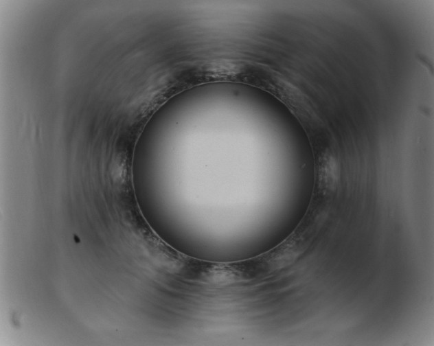 X0000103490608200809191924