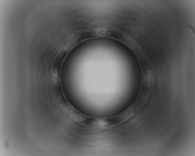 X0000103490610200809191924