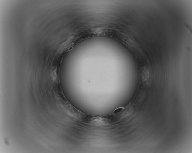 X0000103490611200809191924