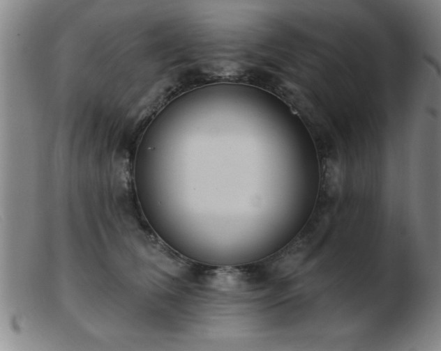 X0000103490612200809191924