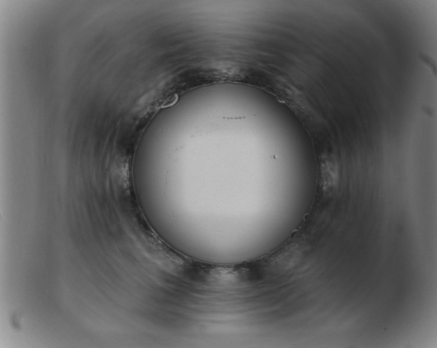 X0000103490613200809191924