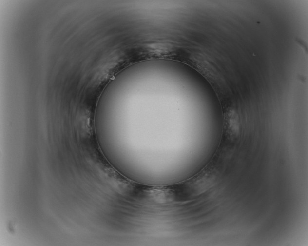 X0000103490615200809191924