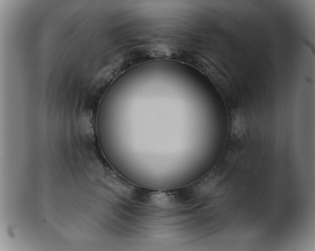 X0000103490616200809191924