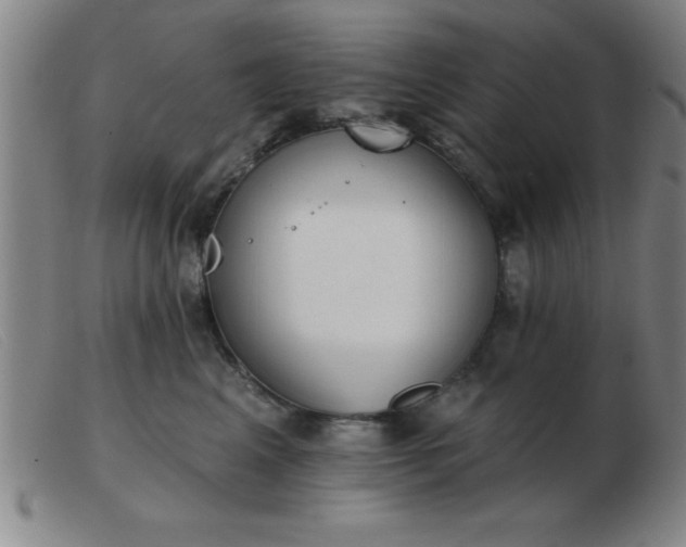 X0000103490617200809191924