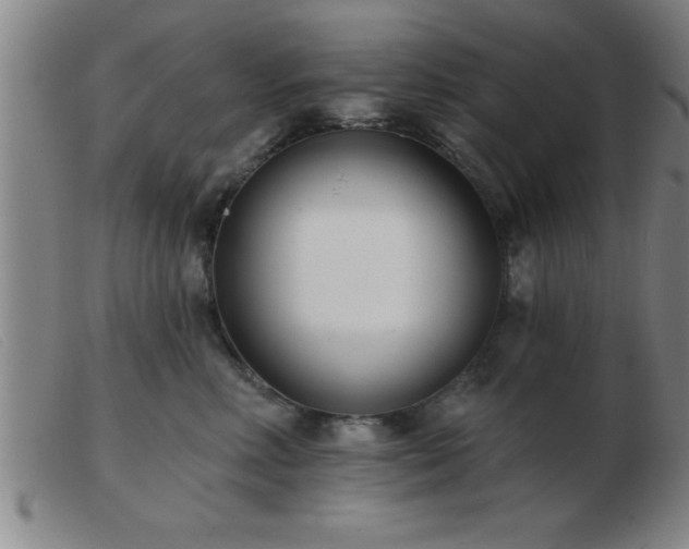 X0000103490618200809191924