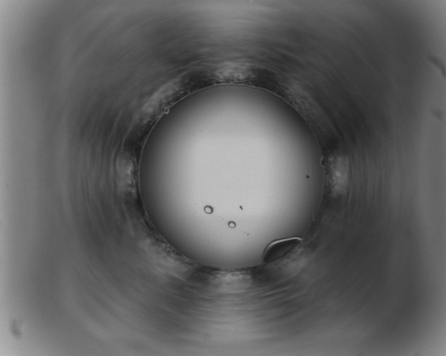 X0000103490619200809191924