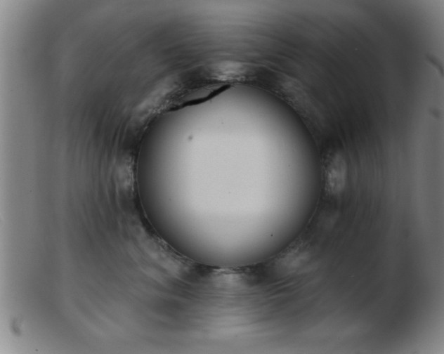 X0000103490620200809191924