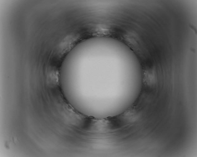 X0000103490621200809191924