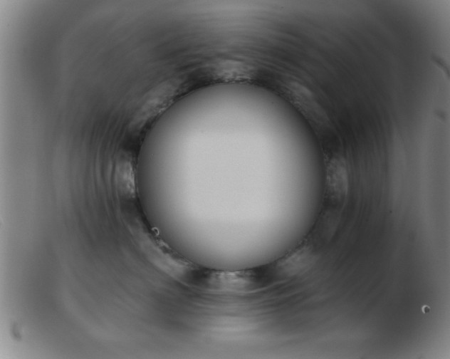 X0000103490622200809191924