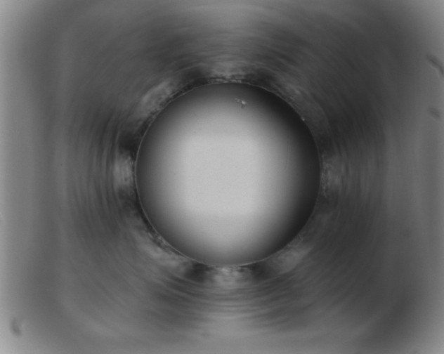 X0000103490623200809191924