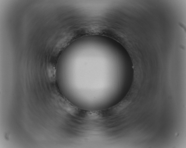 X0000103490624200809191923