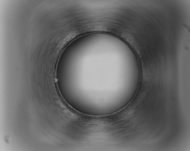 X0000103490625200809191923