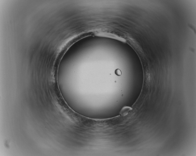 X0000103490628200809191923